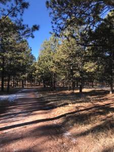 QX5NMby2TMalzXWfkBP%sw