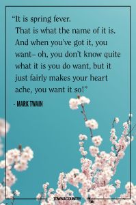 spring Mark Twain