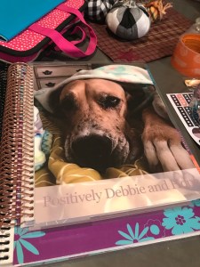 556p4GNnTviER0KMY3WCfg