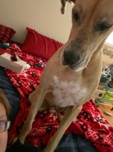 OC5avWmfR0axAvTg9f4DQA