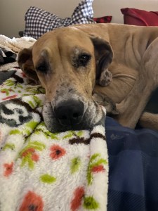 zOtggfOGQeOMCZJKHdPwsQ