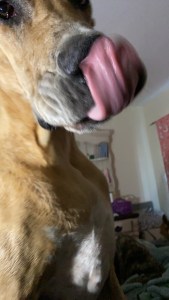 15D13547-EA81-44CD-8D2C-46E5C1FDA9A5