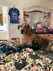 2wap+vFfStqGU6vUeKDU8A