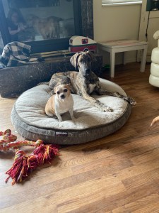 60468936323__AA66C991-B454-4BB3-818F-3E491181FDEF