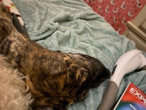 LPfFX0KVS7iS1EOtRnJ3vg