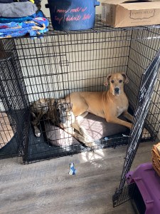 M2h01M2WS1Kg4pZVR+%rJQ