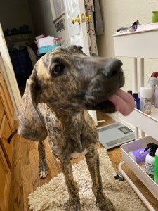 vT6+gAd9S6+g7KpCJC67%g